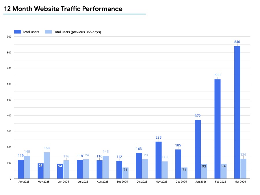 chart showing 12 month performance of organic search traffic for a client website